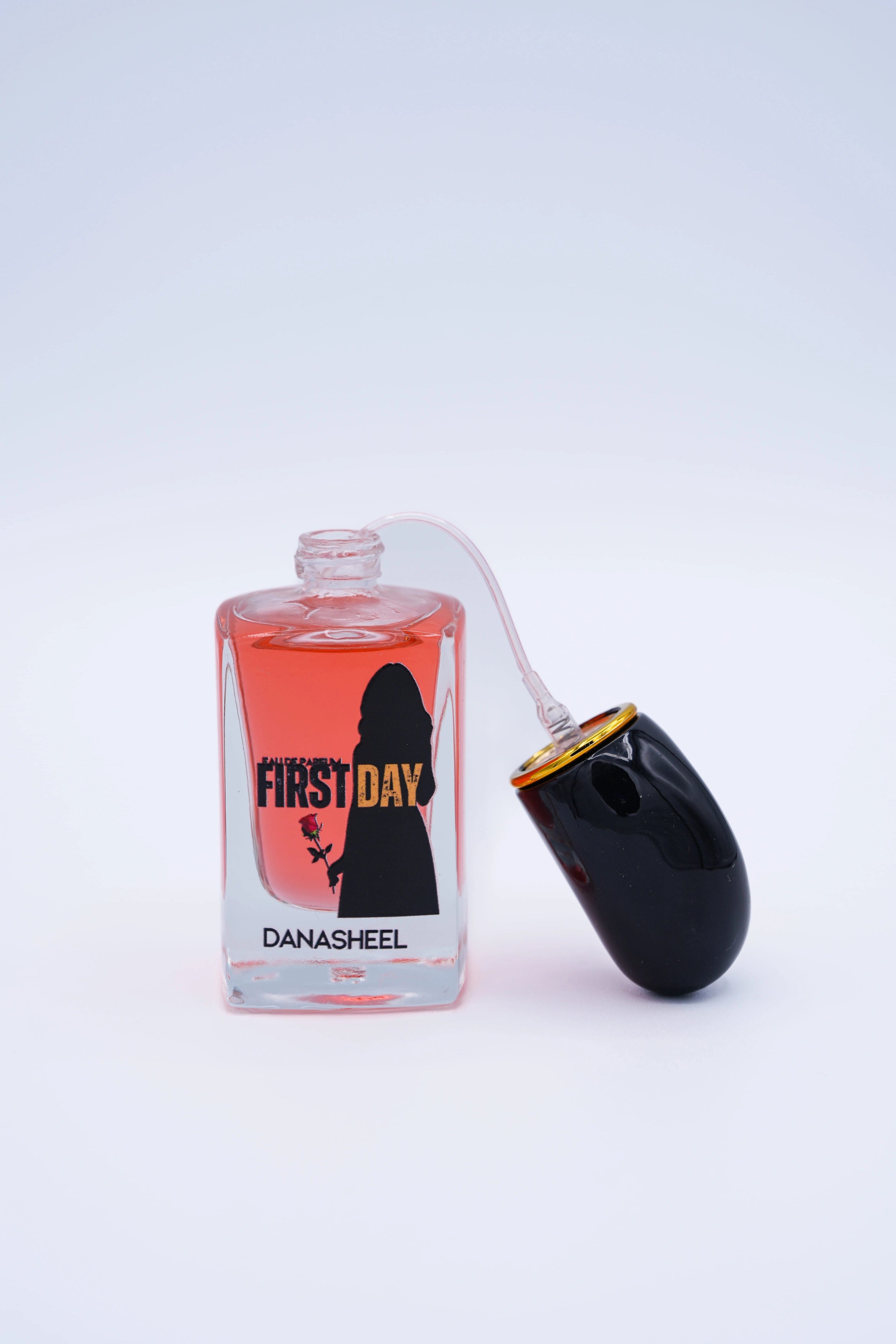 DanaSheel Inc